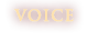成婚者の声
