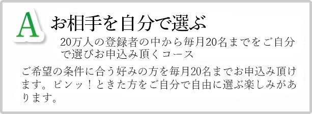 A自分でサクサクコース